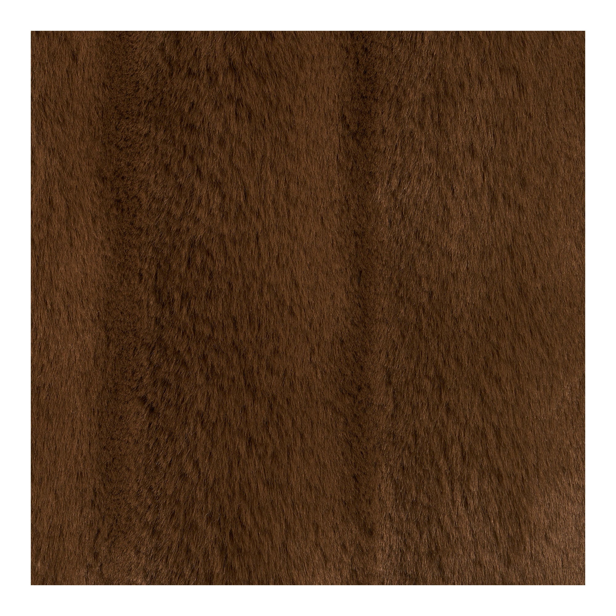 Galena Coussin - vue